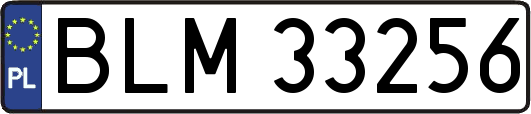 BLM33256