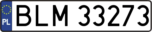 BLM33273
