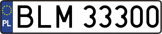 BLM33300