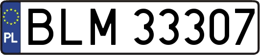 BLM33307