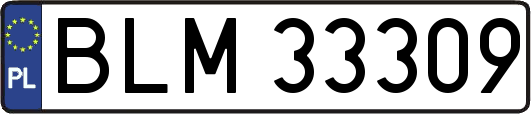 BLM33309
