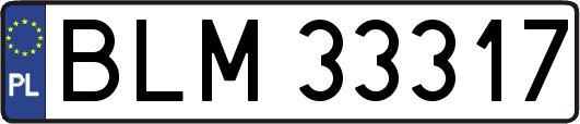 BLM33317