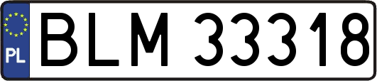 BLM33318