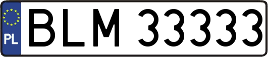 BLM33333