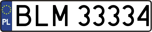 BLM33334