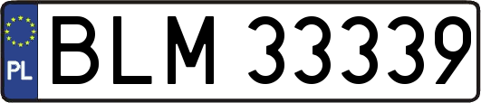 BLM33339