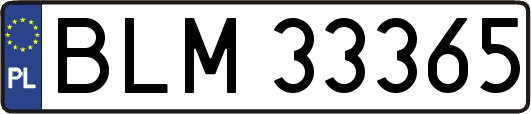 BLM33365