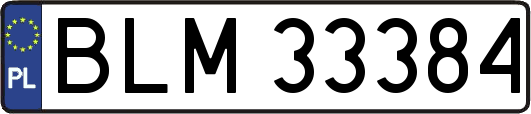 BLM33384