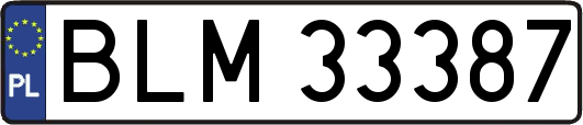 BLM33387