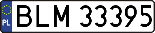 BLM33395