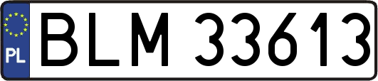 BLM33613