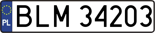 BLM34203