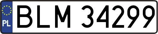 BLM34299