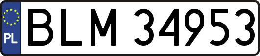 BLM34953