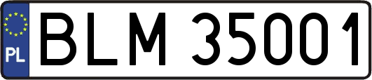 BLM35001