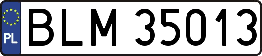 BLM35013