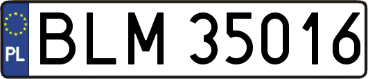 BLM35016