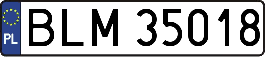 BLM35018