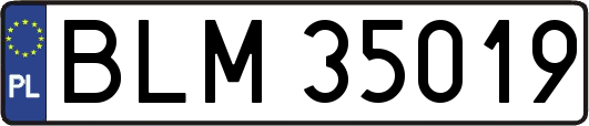 BLM35019