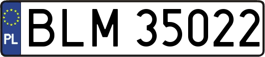 BLM35022