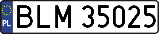 BLM35025