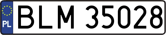 BLM35028