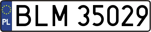 BLM35029