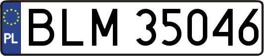 BLM35046