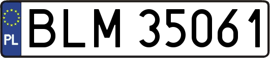 BLM35061
