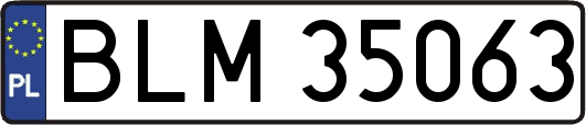 BLM35063