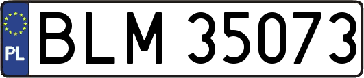 BLM35073