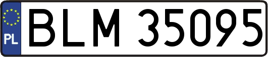 BLM35095