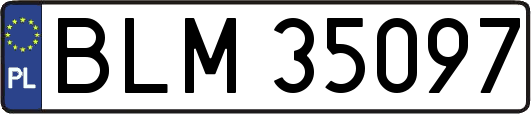 BLM35097