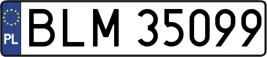 BLM35099