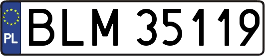 BLM35119