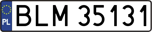 BLM35131
