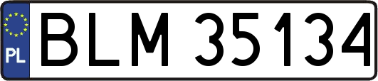 BLM35134