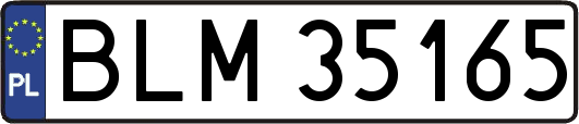 BLM35165