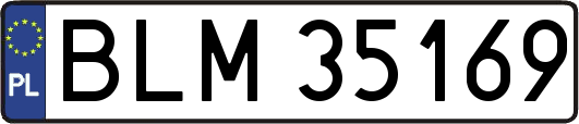 BLM35169