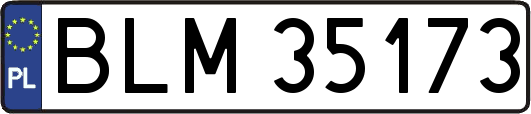 BLM35173