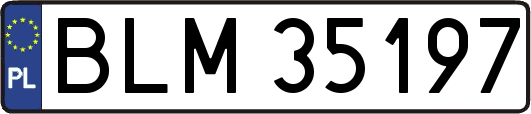BLM35197