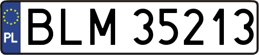 BLM35213