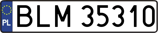 BLM35310
