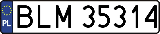 BLM35314