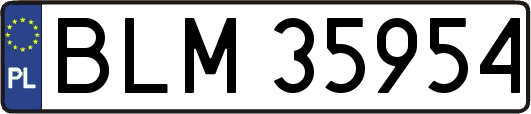 BLM35954