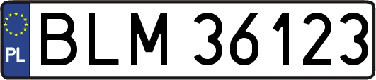 BLM36123