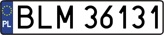 BLM36131