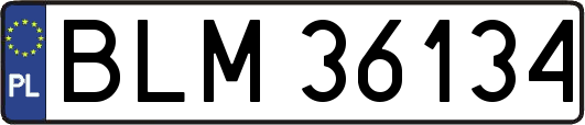 BLM36134
