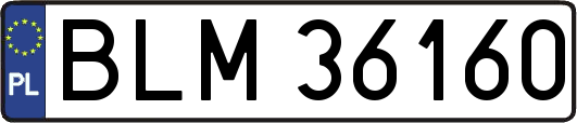 BLM36160