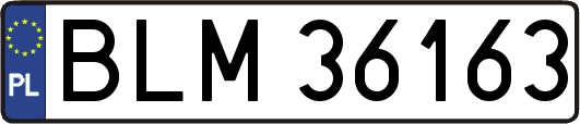 BLM36163